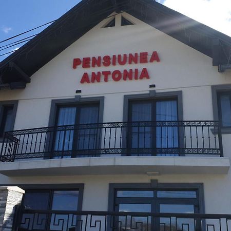 Pensiunea Antonia Сигету-Мармацией Экстерьер фото